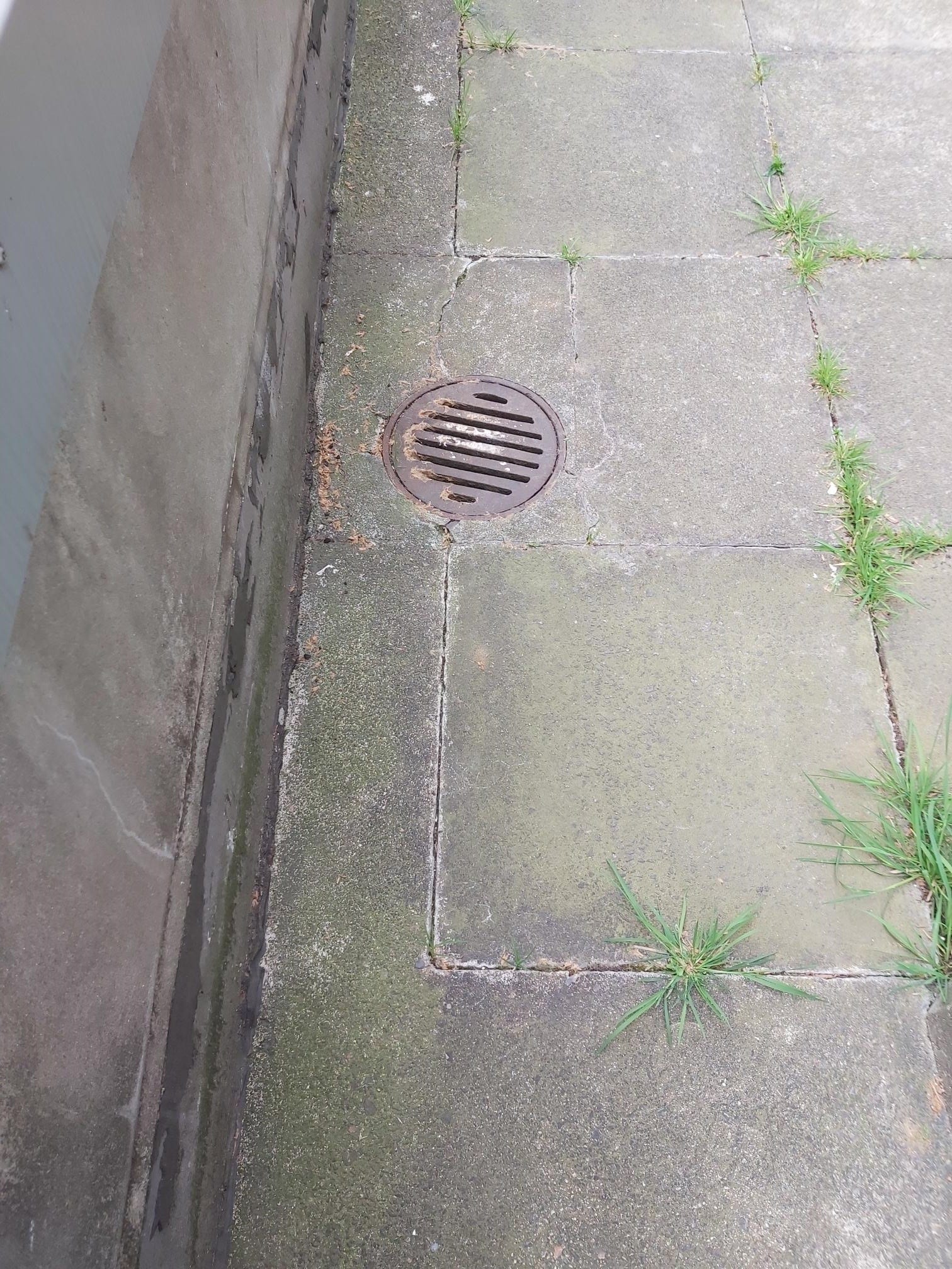 Surveying services london
