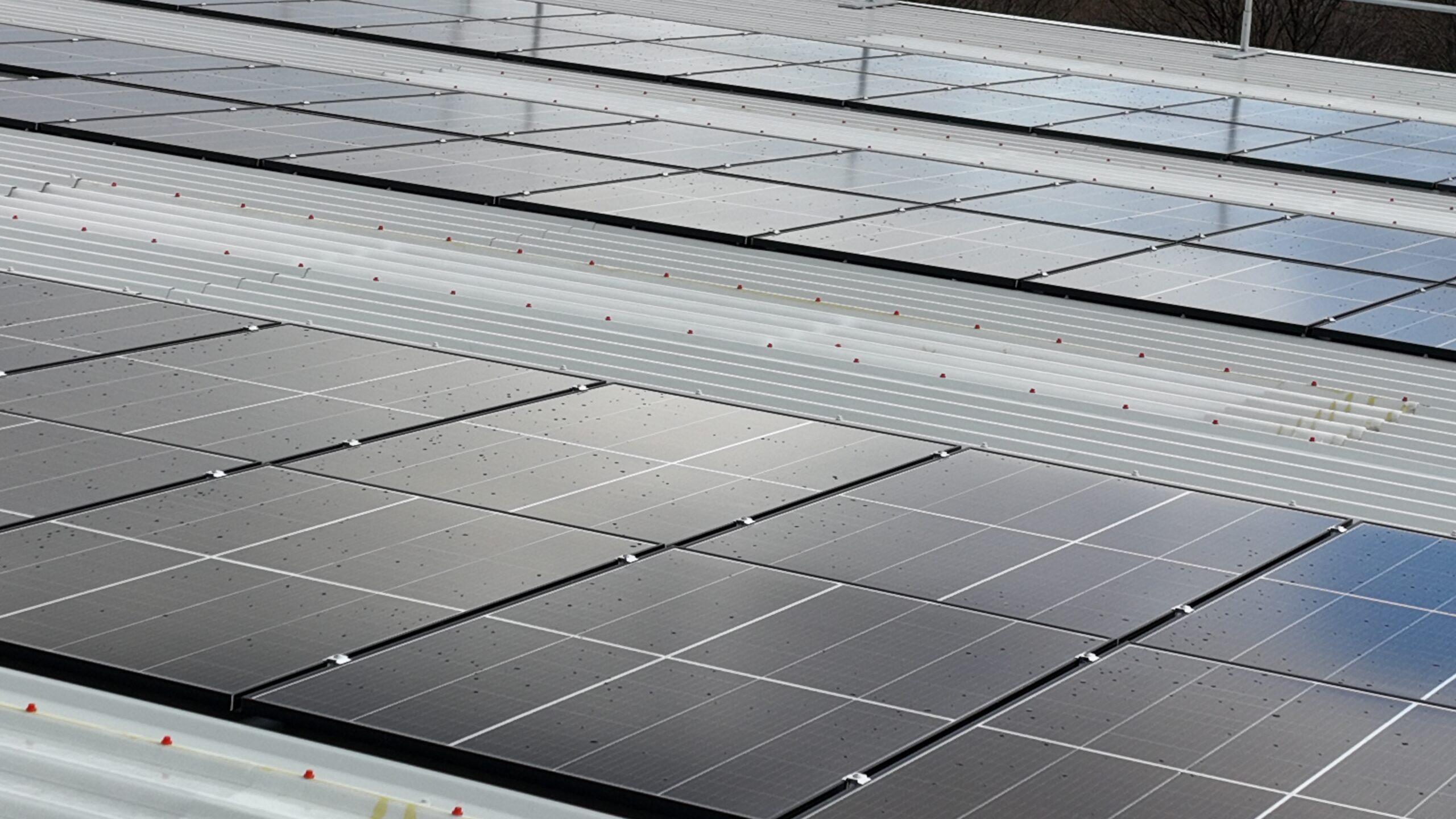 Commerial Solar PV Roof condition survey
